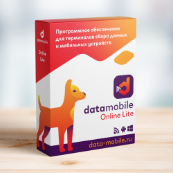 ПО DataMobile, версия Online - LifeTime